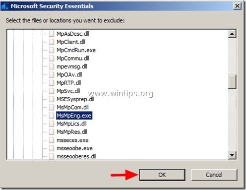C /program Files/microsoft Security Client/msseces.exe